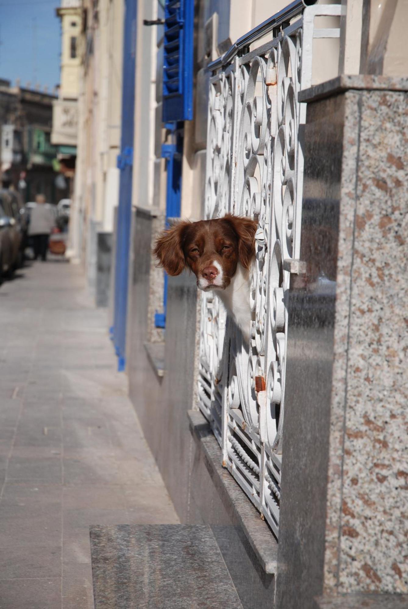 The Burrow Guest House Tarxien Экстерьер фото