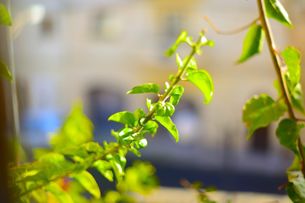The Burrow Guest House Tarxien Экстерьер фото